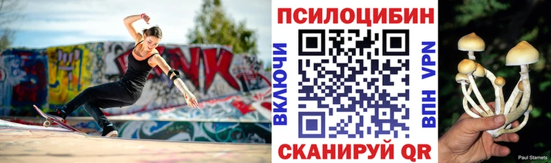 хочу наркоту  Туринск  Псилоцибиновые грибы мухоморы 