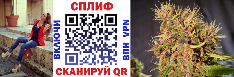 мега как войти  Туринск  МАРИХУАНА Amnesia 